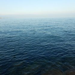 熱中症⁇超危険‼南大阪